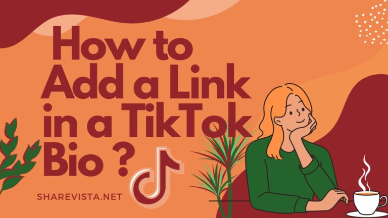 How to Add a Link in a TikTok Bio?