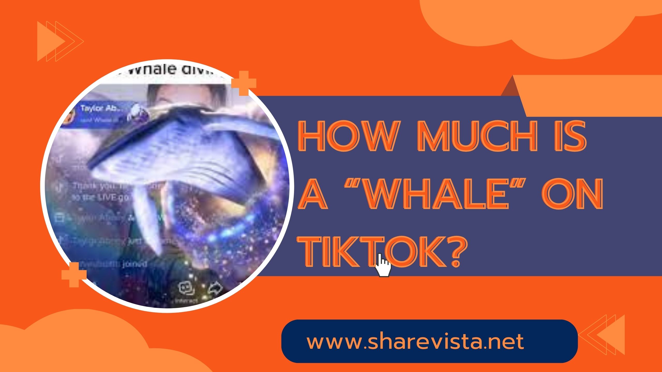 How much is a “Whale” on TikTok