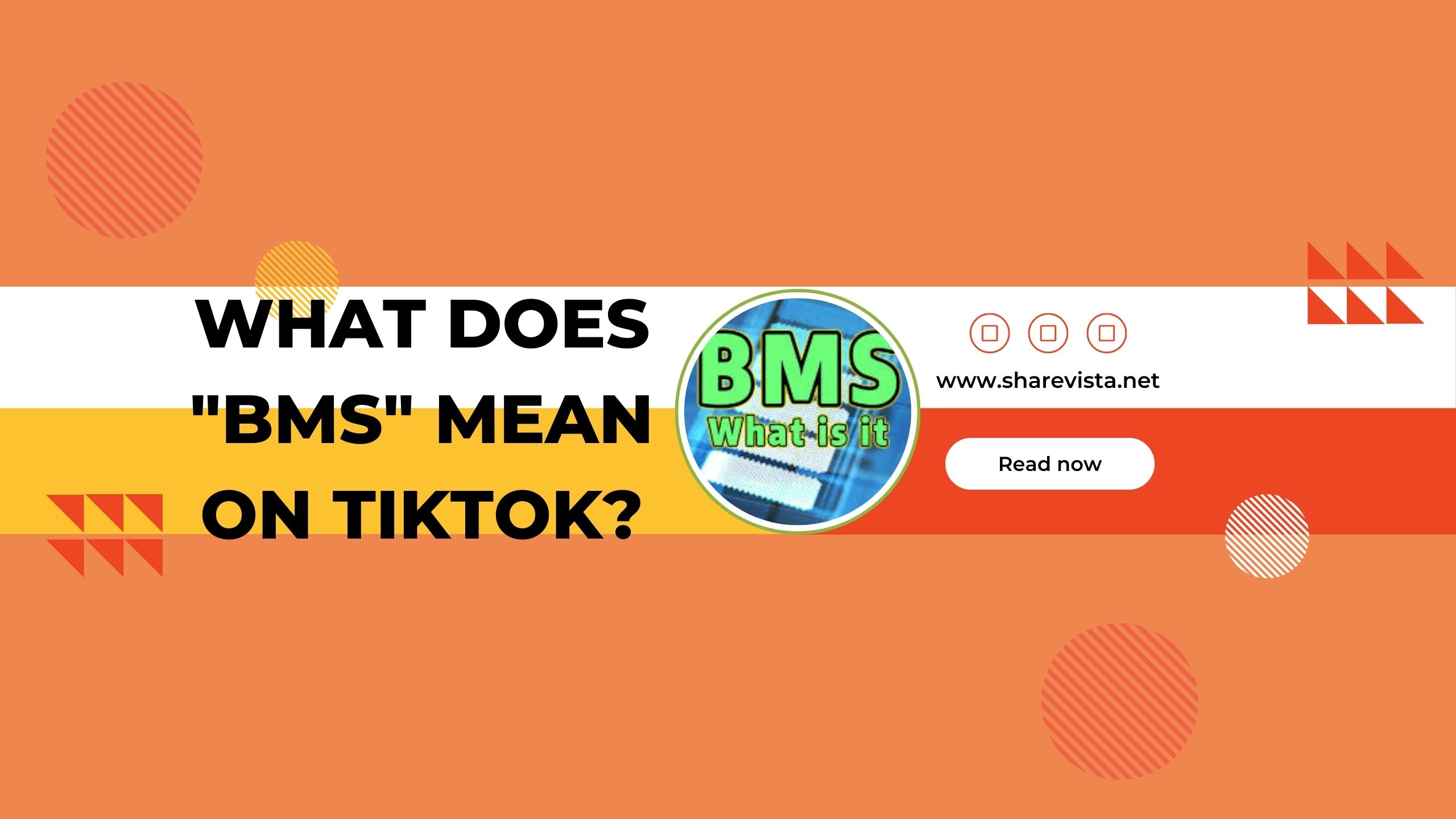 What does "BMS" mean on TikTok?